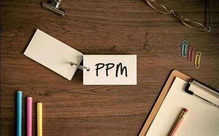 Program Management (PPgM) or Portfolio Management (PPfM): What's the Difference?